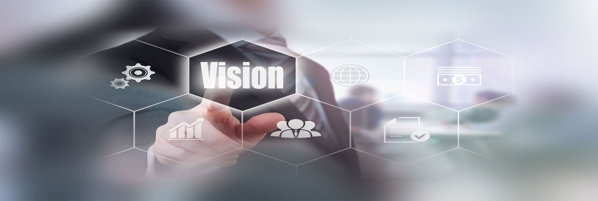 Don't have Vision image